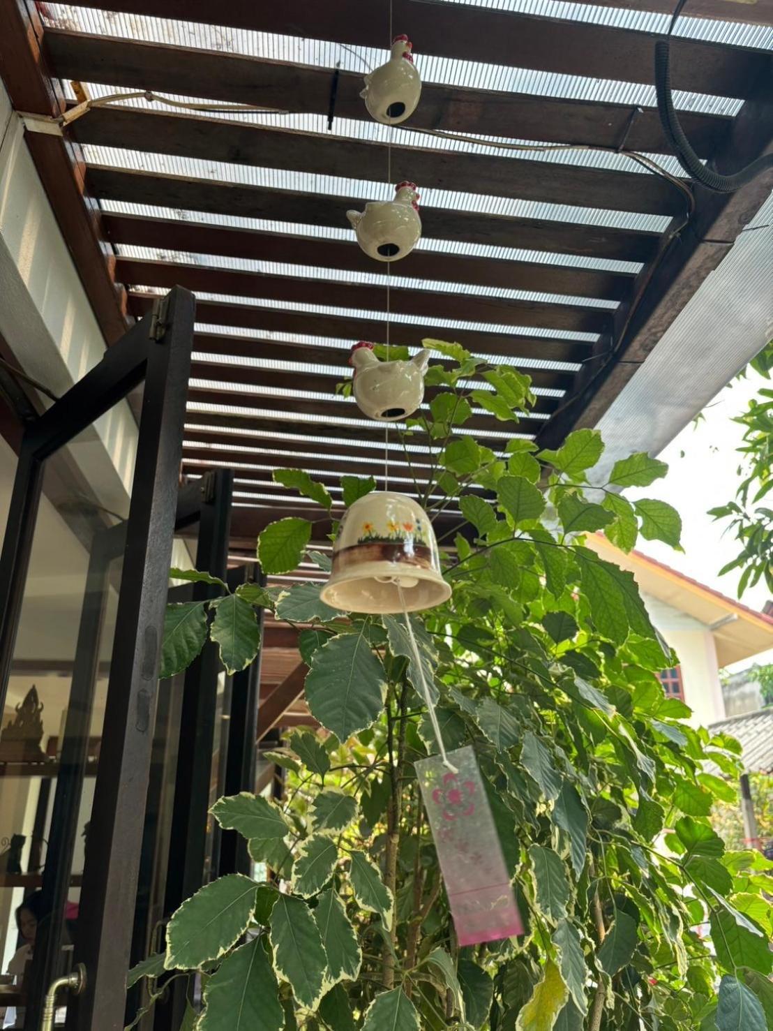 清邁 因地时尚宾馆酒店 外观 照片